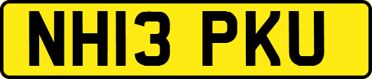 NH13PKU