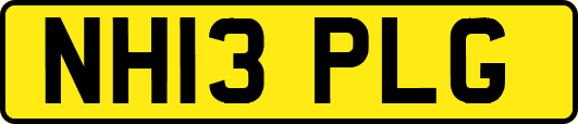NH13PLG