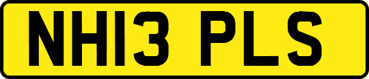 NH13PLS