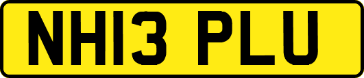 NH13PLU