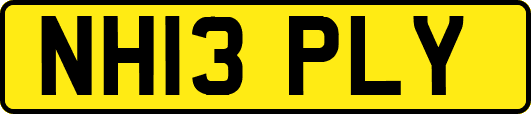 NH13PLY