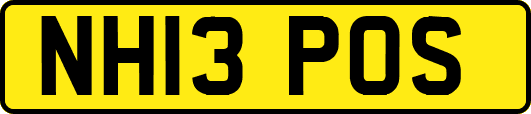 NH13POS