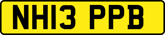 NH13PPB