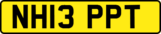 NH13PPT