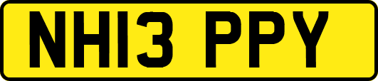 NH13PPY