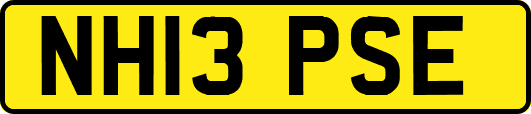 NH13PSE