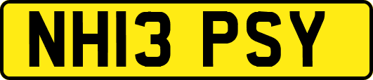 NH13PSY