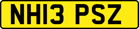 NH13PSZ