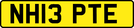 NH13PTE
