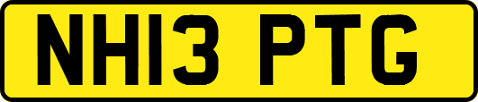 NH13PTG
