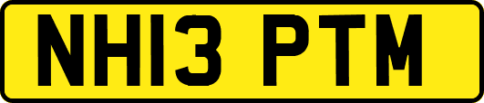 NH13PTM