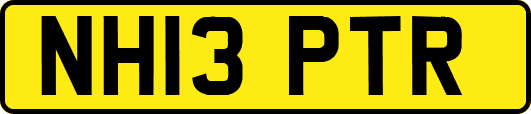 NH13PTR