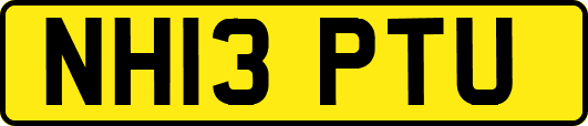 NH13PTU