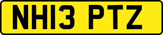 NH13PTZ