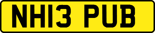 NH13PUB