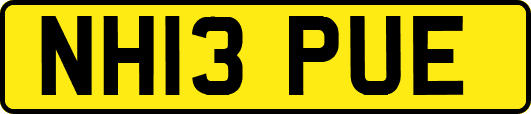NH13PUE
