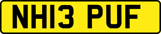 NH13PUF