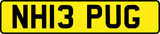 NH13PUG