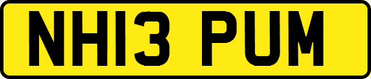 NH13PUM