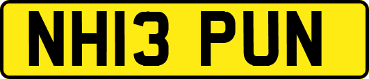 NH13PUN