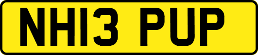 NH13PUP