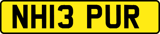 NH13PUR