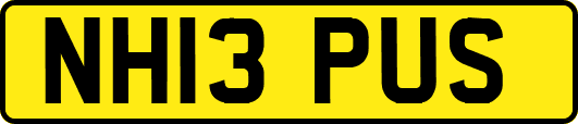 NH13PUS