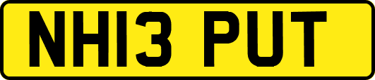 NH13PUT