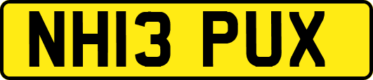 NH13PUX