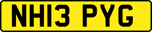 NH13PYG