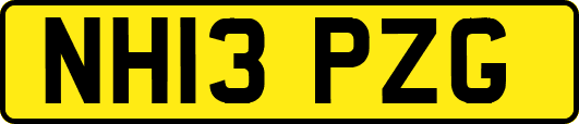 NH13PZG