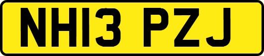 NH13PZJ