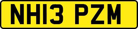 NH13PZM