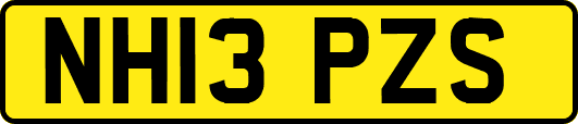 NH13PZS