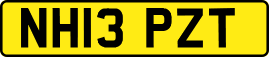 NH13PZT