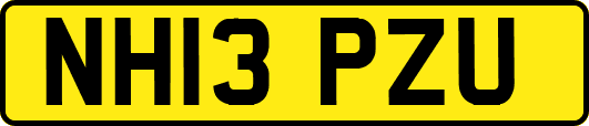 NH13PZU