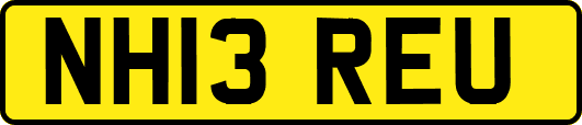 NH13REU