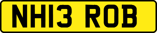 NH13ROB