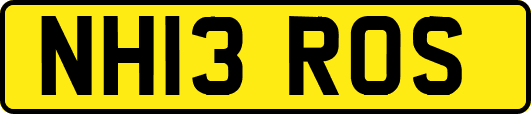 NH13ROS