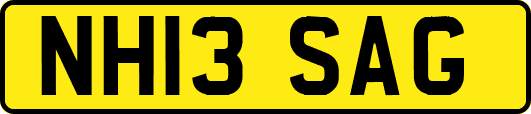 NH13SAG