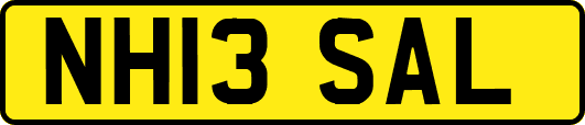 NH13SAL