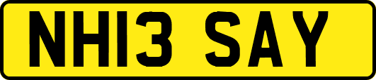 NH13SAY