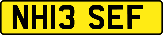 NH13SEF