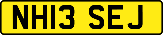NH13SEJ