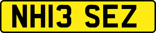 NH13SEZ
