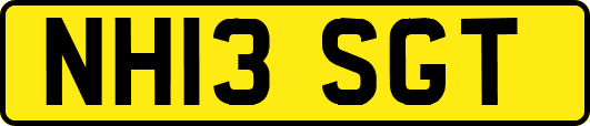 NH13SGT