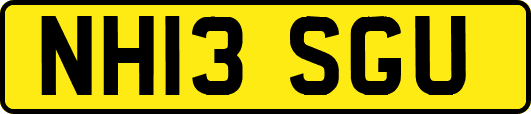NH13SGU