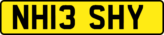 NH13SHY
