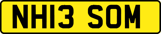 NH13SOM