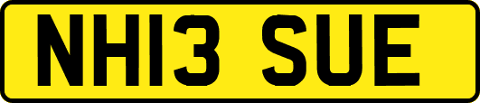 NH13SUE